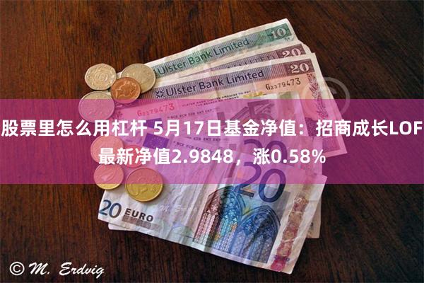 股票里怎么用杠杆 5月17日基金净值：招商成长LOF最新净值2.9848，涨0.58%