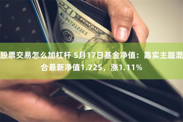 股票交易怎么加杠杆 5月17日基金净值：嘉实主题混合最新净值1.725，涨1.11%