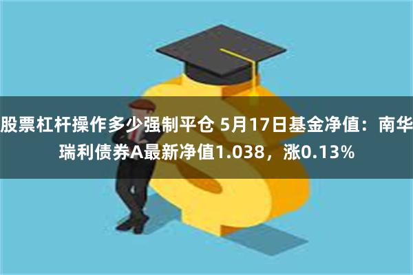 股票杠杆操作多少强制平仓 5月17日基金净值：南华瑞利债券A最新净值1.038，涨0.13%