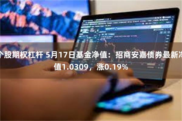 个股期权杠杆 5月17日基金净值：招商安嘉债券最新净值1.0309，涨0.19%