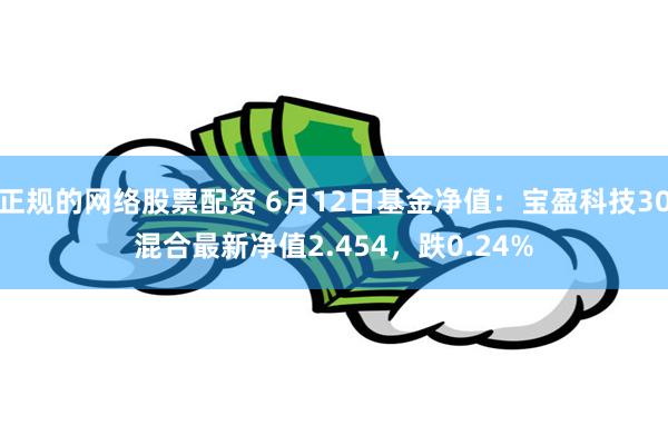 正规的网络股票配资 6月12日基金净值：宝盈科技30混合最新净值2.454，跌0.24%