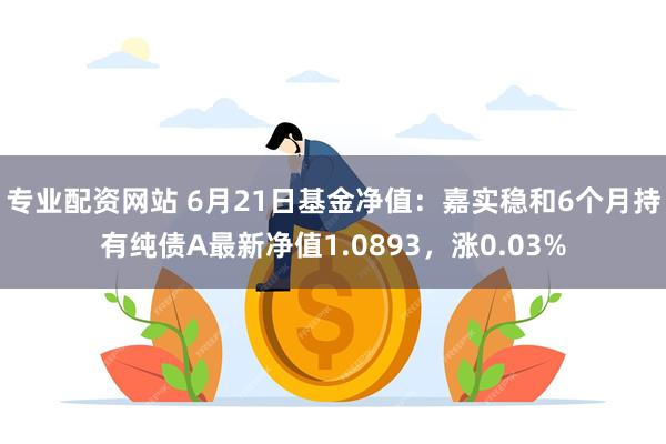 专业配资网站 6月21日基金净值：嘉实稳和6个月持有纯债A最新净值1.0893，涨0.03%