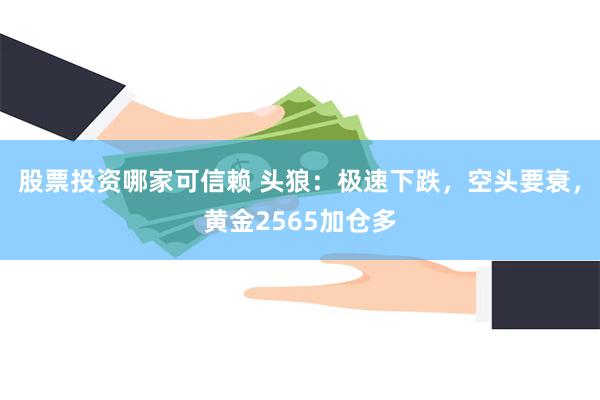 股票投资哪家可信赖 头狼：极速下跌，空头要衰，黄金2565加仓多