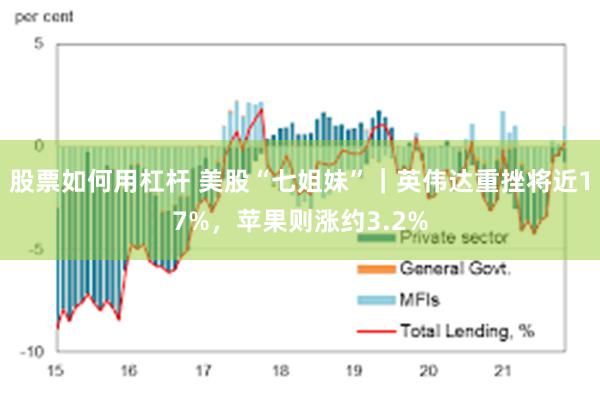 股票如何用杠杆 美股“七姐妹”｜英伟达重挫将近17%，苹果则涨约3.2%