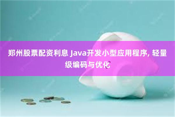 郑州股票配资利息 Java开发小型应用程序, 轻量级编码与优化