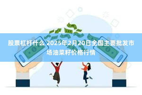 股票杠杆什么 2025年2月20日全国主要批发市场油菜籽价格行情