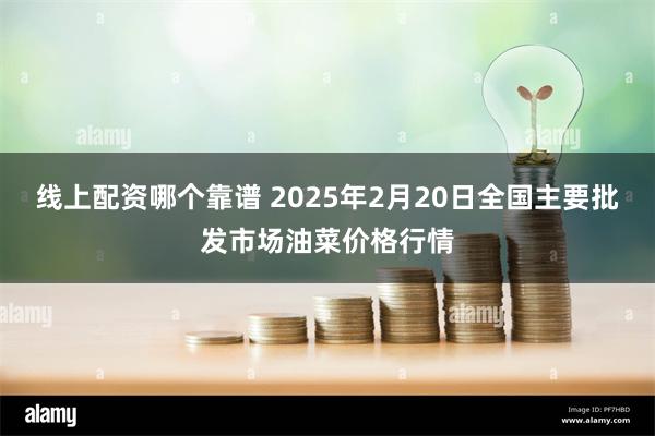 线上配资哪个靠谱 2025年2月20日全国主要批发市场油菜价格行情