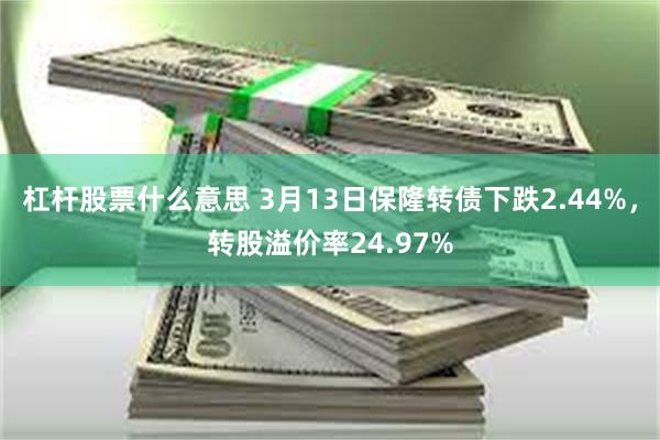 杠杆股票什么意思 3月13日保隆转债下跌2.44%，转股溢价率24.97%